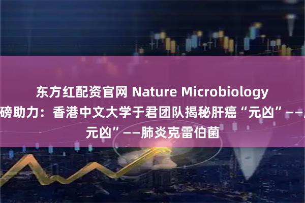 东方红配资官网 Nature Microbiology | 净拓生物重磅助力：香港中文大学于君团队揭秘肝癌“元凶”——肺炎克雷伯菌