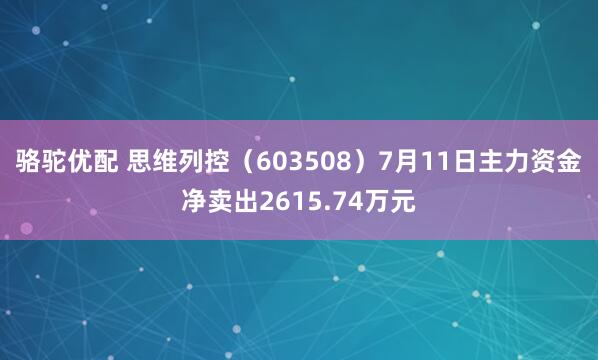 骆驼优配 思维列控（603508）7月11日主力资金净卖出2615.74万元