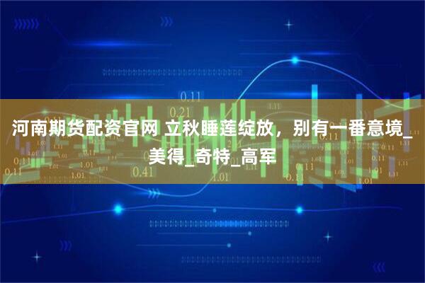 河南期货配资官网 立秋睡莲绽放，别有一番意境_美得_奇特_高军