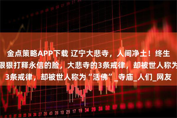 金点策略APP下载 辽宁大悲寺，人间净土！终生不碰钱的赤脚修行者，狠狠打释永信的脸，大悲寺的3条戒律，却被世人称为“活佛”_寺庙_人们_网友